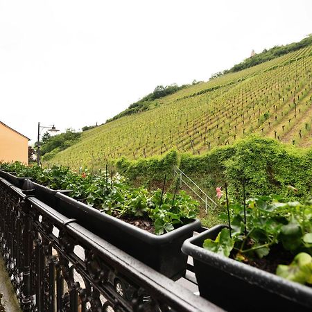 Alte Stadtvilla Am Weinberg 3 トラーベン・トラールバッハ エクステリア 写真