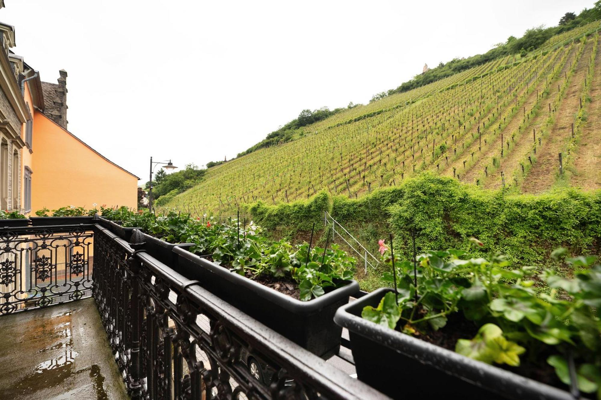 Alte Stadtvilla Am Weinberg 3 トラーベン・トラールバッハ エクステリア 写真